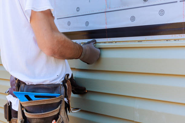 Affordable Vinyl Siding solutions in Hannibal, OH